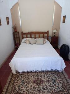 维拉帕尔克西基曼MIRADOR DEL LAGO - La Vista的卧室配有一张大白色的床和地毯