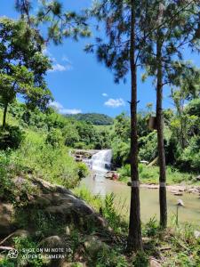 马卡埃Casa Muro Alto-Sana Rj的河中树木的瀑布