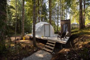 锡谢尔特Stay Wilder Sunshine Coast的树林里的帐篷,配有长凳和椅子
