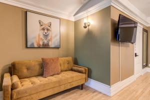 魁北克市拉舒尔特旅舍的客厅配有沙发和狼的照片