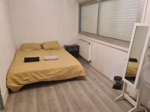 佩萨克APPARTEMENT EN PLEIN CENTRE VILLE PESSAC AVEC 3 CHAMBRES的一间卧室设有一张床和一个大窗户