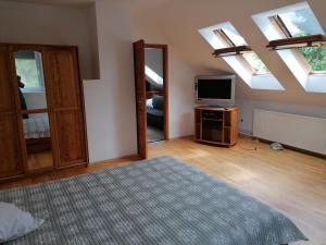 陶波尔曹Családi apartman的一间卧室设有一张床、一台电视和天窗。