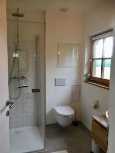 法克湖Appartements Käthe的一间带卫生间和玻璃淋浴间的浴室