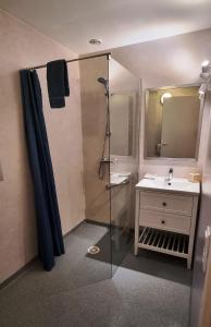 索米尔Les Chalets de SAUMUR, Piscine & Parc boisé, 100m du CadreNoir的带淋浴和盥洗盆的浴室