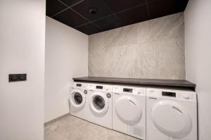 蒙特瓦勒赞Lodge des Glaciers的洗衣房配有2台洗衣机和烘干机