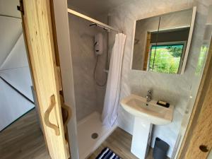 本莱赫Benllech Glamping的浴室配有盥洗盆和带镜子的淋浴