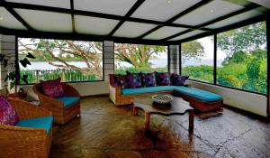 基利菲Mnarani Beach Club的带沙发、桌子和窗户的客厅