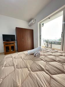 博尔什Villa Ani的卧室设有一张大床,卧室设有大窗户