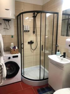克拉科夫Master Corner Apartment的带淋浴的浴室和洗衣机。