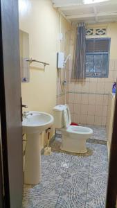 吉塞尼COLIBRI VILLA City Center的一间带卫生间和水槽的浴室