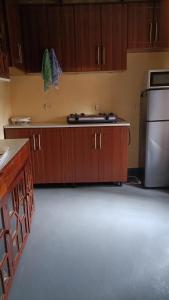 吉塞尼COLIBRI VILLA City Center的厨房配有木制橱柜和不锈钢冰箱。