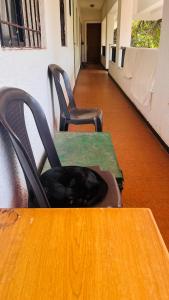 巴加Riveria Foothills & Residency Apartments的坐在桌子上的一个黑猫