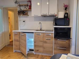 诺维萨德APARTMANI Emerald Dream的一间带水槽和微波炉的小厨房