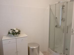 苏尔莫纳Parco delle Rose的带淋浴和卫生间的白色浴室