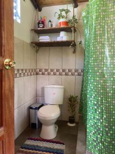 奥兰太坦波Cabaña del viajero.的浴室设有卫生间和绿色淋浴帘。