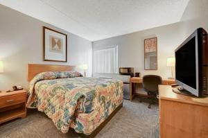 拉斯维加斯布里杰市区酒店的酒店客房配有一张床、一张书桌和一台电视。