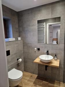 GołuchówNoclegi u Alicji- Apartamenty的一间带水槽、卫生间和镜子的浴室