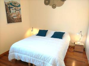 戛纳2 Bebrooms Duplex的一间卧室配有白色的床和2个蓝色枕头