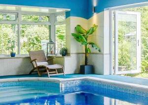 LydbrookMireystock Indoor Pool, Games Bar, Spa Steam Cabin的一座带游泳池、椅子和植物的房子
