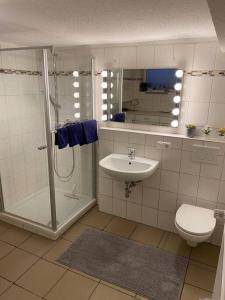 科隆Gemütliche Unterkunft am See的带淋浴、盥洗盆和卫生间的浴室
