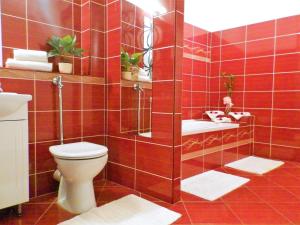 埃格尔Léna Apartman - Eger的红色瓷砖浴室设有卫生间和水槽