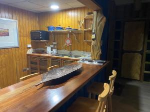 GuayacánArte Vitral Lodge - 4camas- aislada- terrazas -vista - piscina-sauna的厨房配有木制柜台和水槽