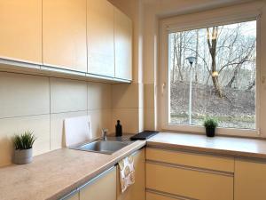 索波特MMRent Przytulny apartament w Sopocie的厨房设有水槽和窗户。
