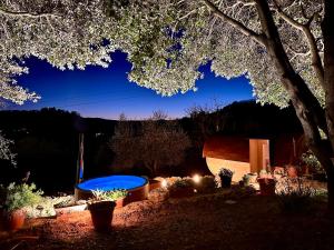 丘西Montebello degli Olivi的后院在晚上设有热水浴池和植物