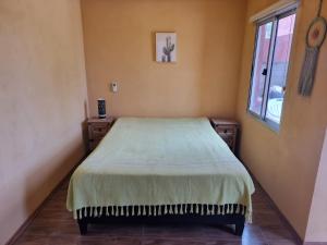 德尔迪阿布罗角Hermoso Monoambiente En Punta Del Diablo - Rocha的一间带床的卧室,位于带窗户的房间内