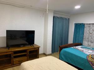 伊基克Alojamiento familiar, habitación o departamento的一间卧室配有一张床和一台平面电视