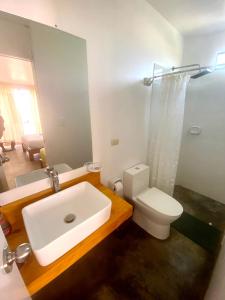 帕拉卡斯Killamoon House Paracas的一间带水槽、卫生间和镜子的浴室