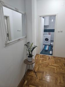 波扎雷瓦茨Apartman Odmor012的一间设有镜子的房间和一张种植了植物的桌子