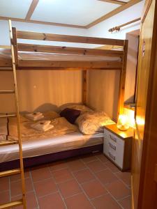 ArzbergFerienhaus Almenland的一间卧室配有两张双层床。