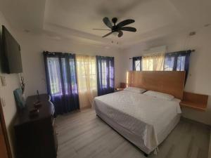 拉塞瓦Villa Rita的一间卧室配有一张床和吊扇