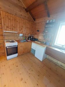 雷讷雷讷瓦伦度假屋的小屋内的厨房配有炉灶和水槽