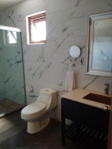 乔卢拉Mansion Azul Cholula的浴室配有卫生间、淋浴和盥洗盆。