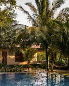 尼拉瓦利C Beyond Nilaveli的一座别墅前方的棕榈树游泳池