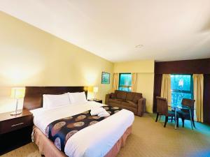 巴拉腊特城市美景康福特茵酒店及套房的配有一张床和一张书桌的酒店客房