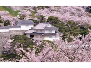 二本松Urban Hotel Nihonmatsu - Vacation STAY 78342v的城堡前方有樱树的白色建筑