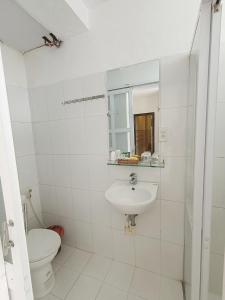会安Hoian Old Town Hostel的白色的浴室设有卫生间和水槽。
