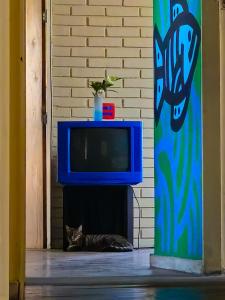 贝洛奥里藏特Hostel Aruanda的一只猫躺在电视旁边的地板上
