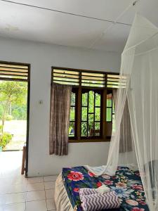 武吉拉旺Wisma Batu Mandi and offers jungle tours的一间卧室配有一张带蚊帐的床
