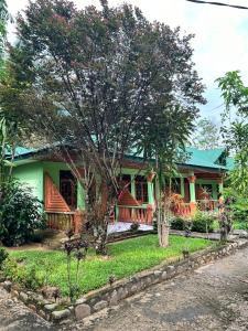 武吉拉旺Wisma Batu Mandi and offers jungle tours的前面有一棵树的房子