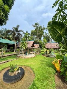 武吉拉旺Wisma Batu Mandi and offers jungle tours的院子中间带轮胎的花园