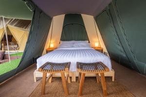 清迈CAMP CAYLA - STELLAR的帐篷内一间卧室,配有一张床