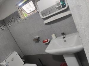 马纳尔Enoch Guest House的一间带水槽和卫生间的小浴室