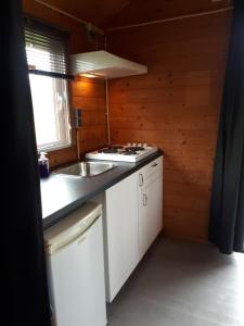 皮滕Blokhut的小屋内的厨房配有炉灶和水槽