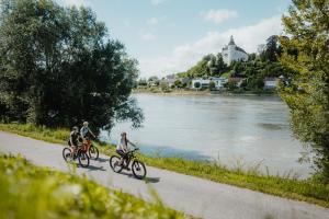 奥滕斯海姆Privatzimmer - Sieben an der Donau的三人骑着自行车沿着河边的小路行驶
