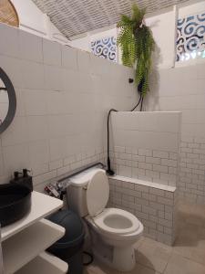 象岛悬崖小屋酒店的一间带卫生间和盆栽的浴室