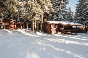 波罗维茨贾戈达马利纳别墅酒店的雪中树下的小木屋